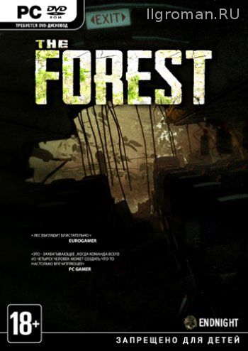 The Forest